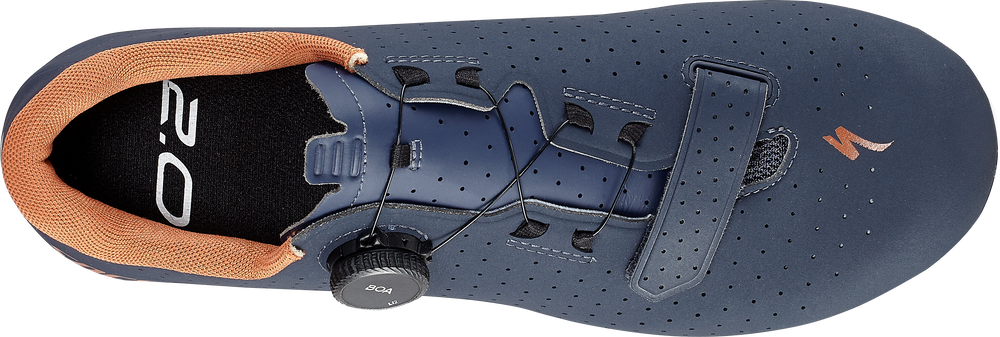 Deep Marine/Terra Cotta