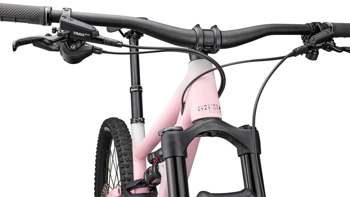 Satin Cool Grey / Desert Rose / Black