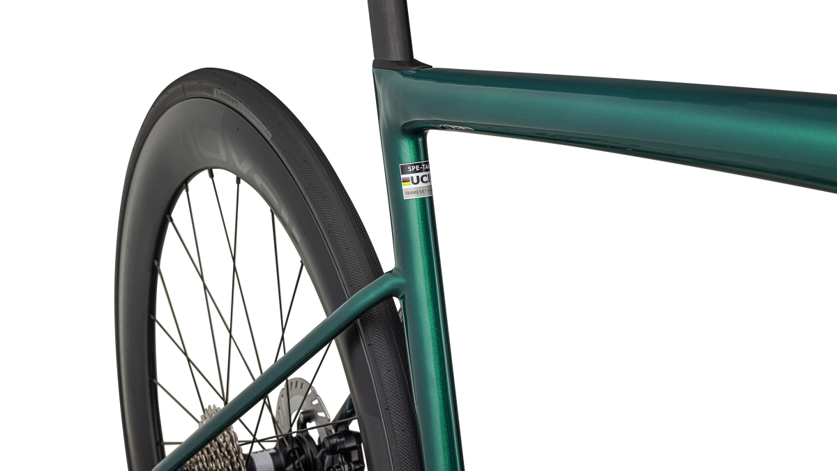 GLOSS PINE GREEN METALLIC / WHITE