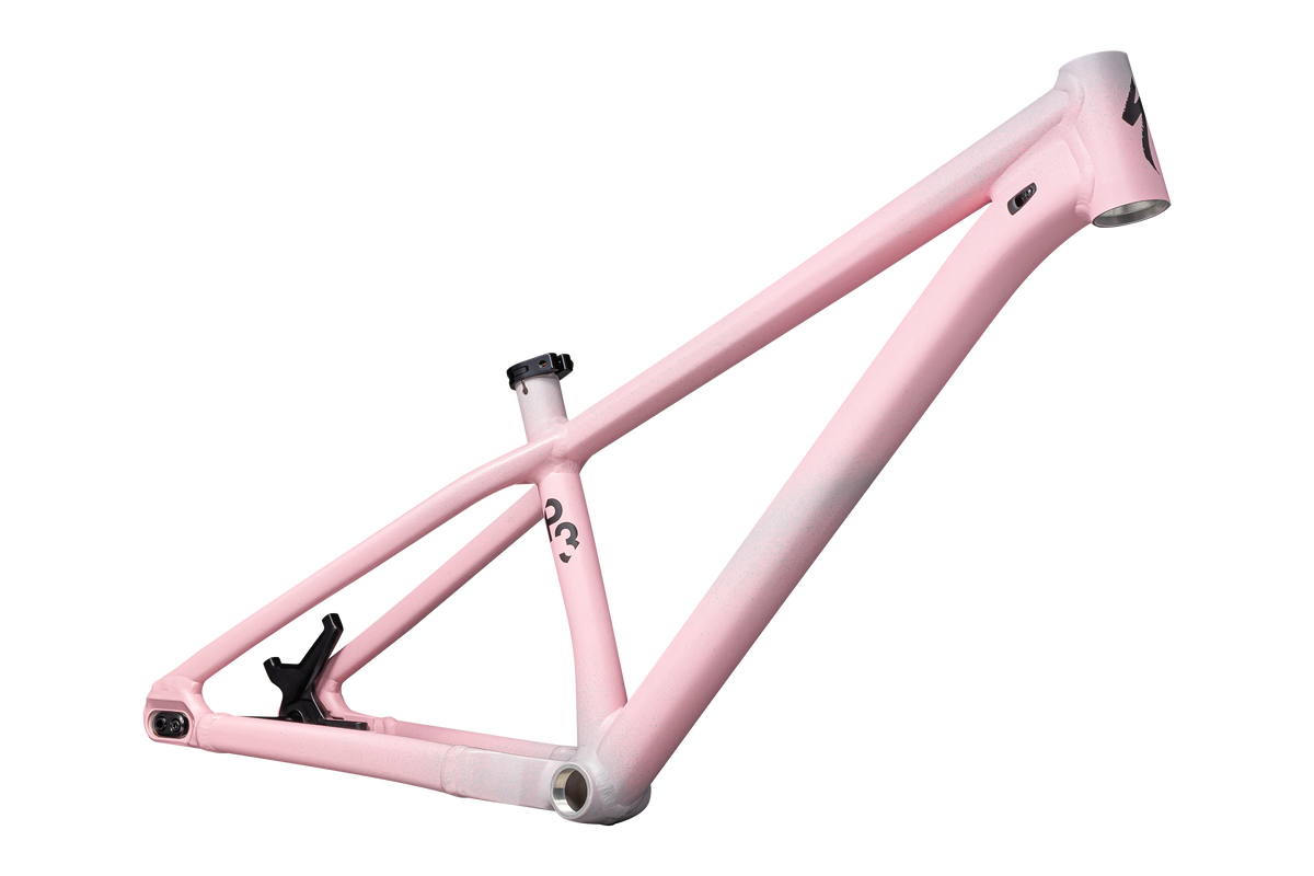 Specialized store p3 frame